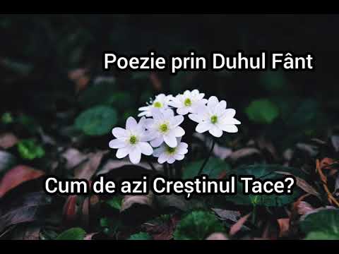 Poezie prin Duhul Sfânt