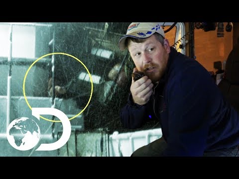 ハリケーンの中、クルーのメンバーが頭に大打撃を受けました。 (Crew Member Takes Massive Blow To The Head During Hurricane | Deadliest Catch)