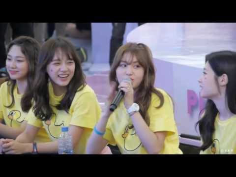 [FMV] Knock Knock Knock - IOI