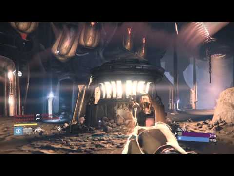 Destiny - Stevo the Fool