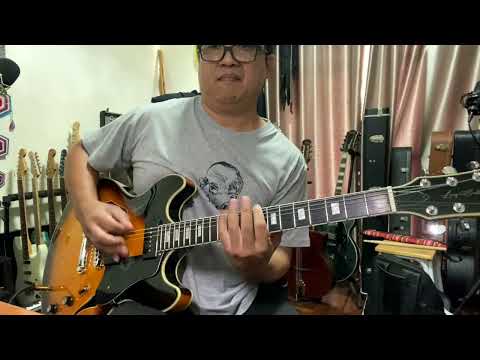 SIRE GUITAR -LARRY CARLTON H7V