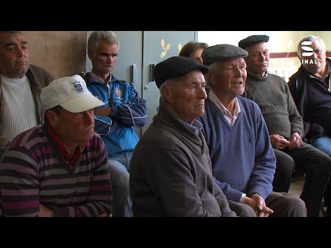 Agricultores de Dorna, em Chaves preocupados com doenças e pragas nos castanheiros