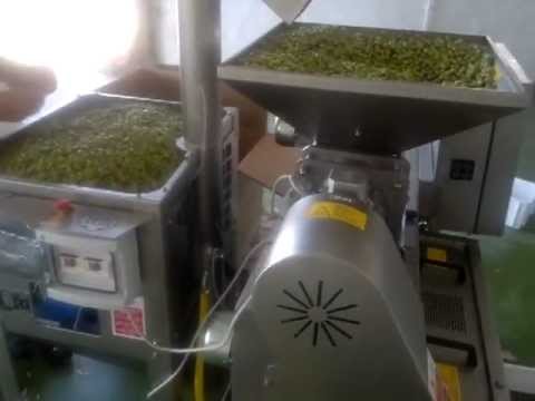 ALMAZARA 80 kg/hora VERDEAURORA