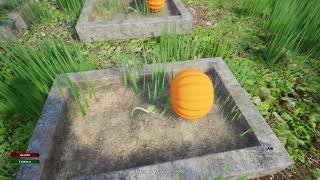 Check'n Medieval Towns