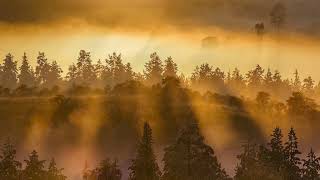 Perry Como: Toselli&#39;s Serenade (Dreams and Memories)