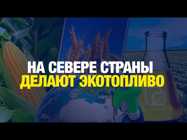 Топливо для самолётов из зерна