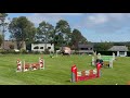 Selle Français - Jument, 5 ans