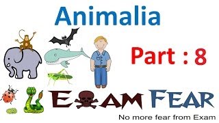 Biology Animalia part 8 (Notochord) CBSE class 11 XI