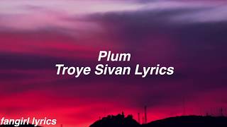 Plum || Troye Sivan Lyrics