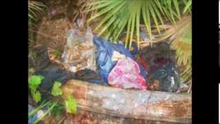 EmmyLou Harris - Coat of many  Colors