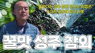 대한민국 최고의 참외는 어디 참외?! 성주 참외! 꿀맛 나는 성주 참외의 비밀에는 스마트 관수 점적테이프 시…