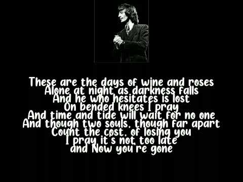 Days Of Wine And Roses - Robin Gibb