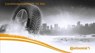 Continental WinterContact TS 850 215/55 R16 93H