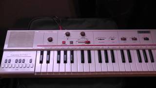 Casio MT-40 keyboard (sleng teng riddim)