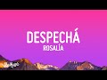 ROSALÍA - DESPECHA (Letra/Lyrics)