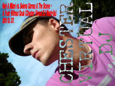 Nari & Milani vs. Selena Gomez & The Scene - A Year Without Gnuk (Chester Virtual DJ Mash-Up).wmv