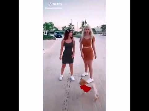 فضيحة وموده الادهم /مشاهير تيك توك/MiCrO.