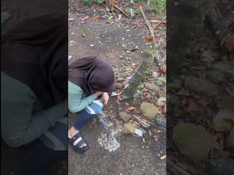 What Just Happened 😂 | Village Funny Video #shorts #viral