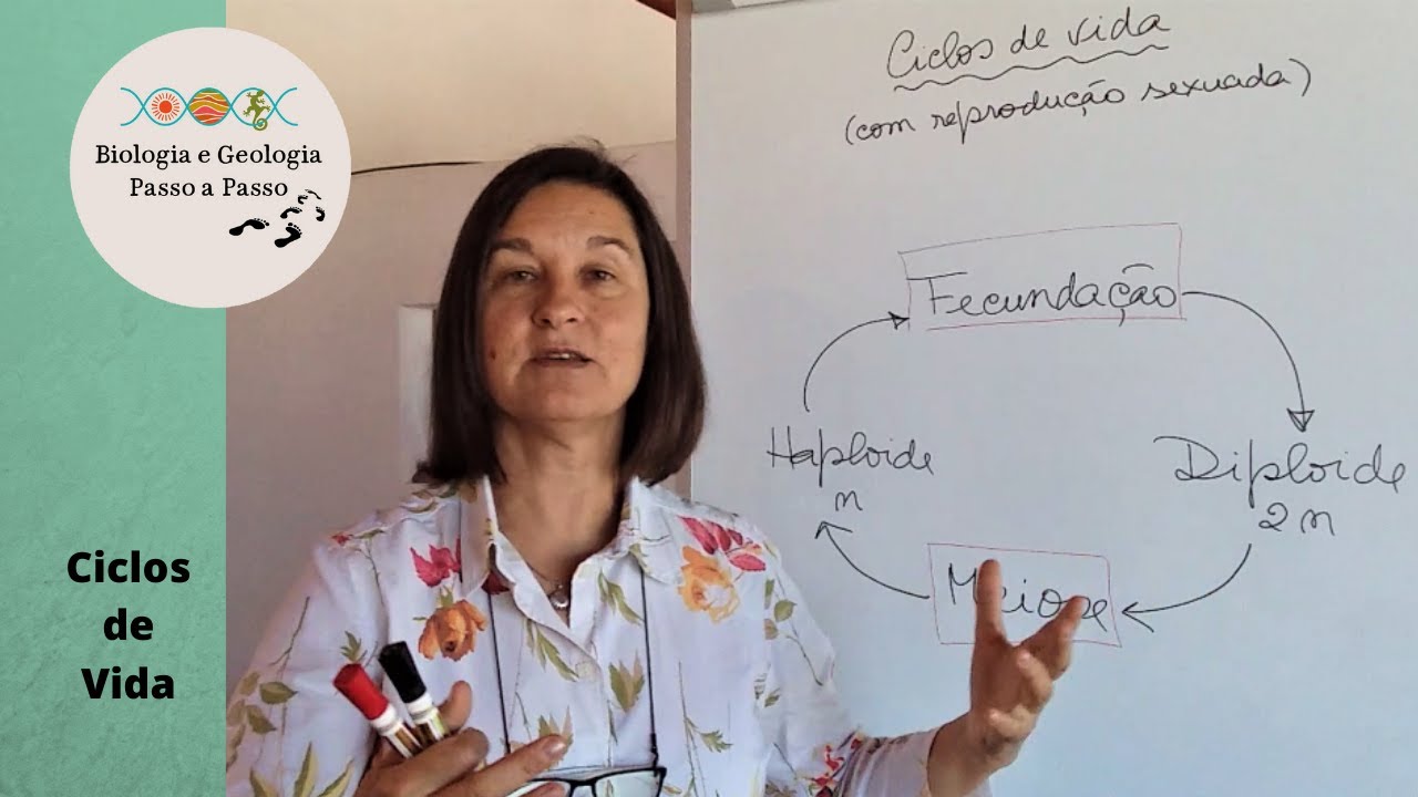 Ciclos de Vida - conceitos gerais