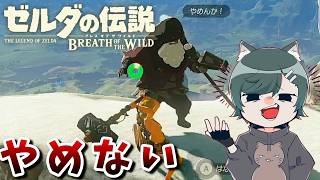 名作「ブレスオブザワイルド」を勉強しようぜ！～神出鬼没のジジイ～『ゼルダの伝説ブレスオブザワイルド』（再編集版）♯3