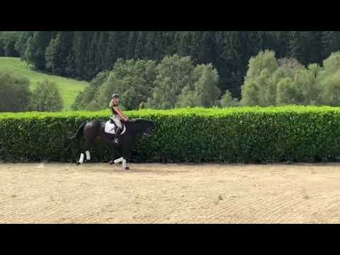 4 Jahre Fürsten look x Fleury