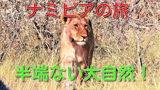 【ナミビア】魅惑の国ナミビア旅行記　自然を大満喫