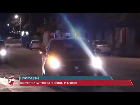 Rosarno (RC): Scoperte 5 piantagioni di droga, 11 arresti effettuati