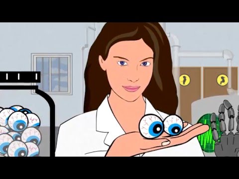 Video thumbnail for Shemesh - שמש