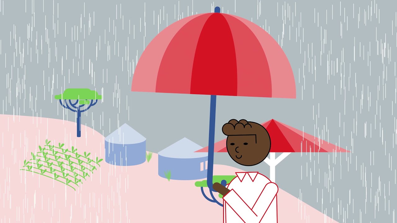 10 years of action: the Swiss NGO DRR Platform