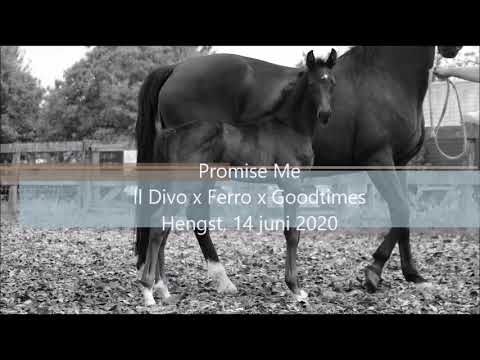 Horses VK: Promise Me (Il Divo x Ferro)