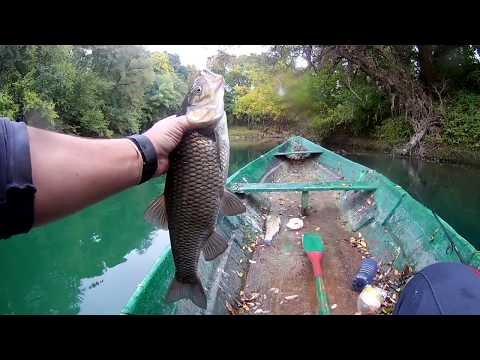 Light Spinning for chub (klen na ULC Rapalu)