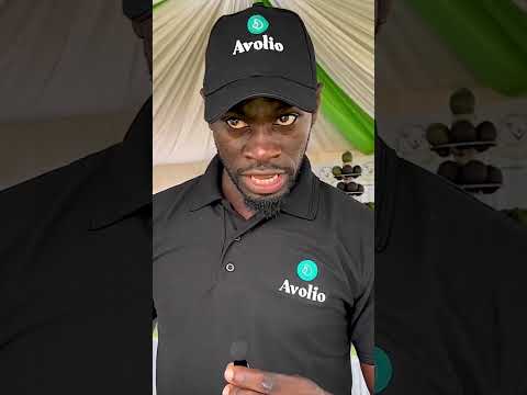 Unlocking Avocado's Potential: Join the Journey to High-Value Farming #HarvestMoneyExpo