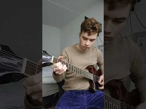 Velvet Underground Venus in furs guitarcover #velvetunderground #loureed #guitarcover #guitar #rock