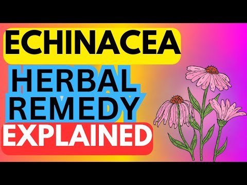 ECHINACEA TEA - 5 AMAZING HEALTH BENEFITS EXPLAINED