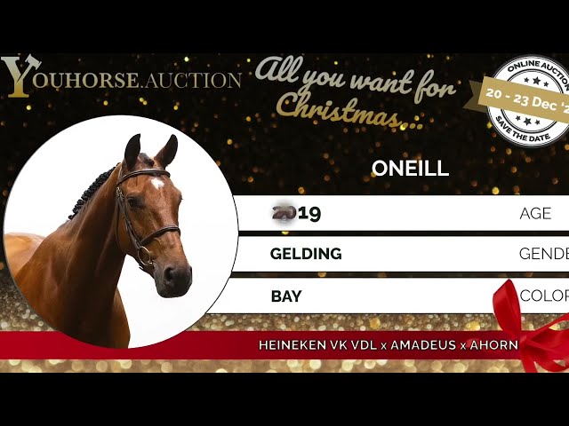 Oneill Showvideo