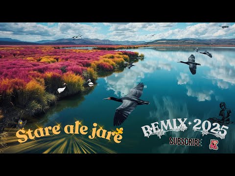 🎼Piotr Szczepanik -  Goniąc kormorany🎵  ( REMIX )