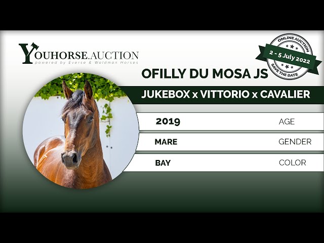 Ofilly du Mosa JS