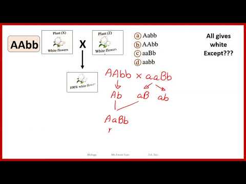 Terminology Exam Unit 3u200b: Detailed Login Instructions LoginNote