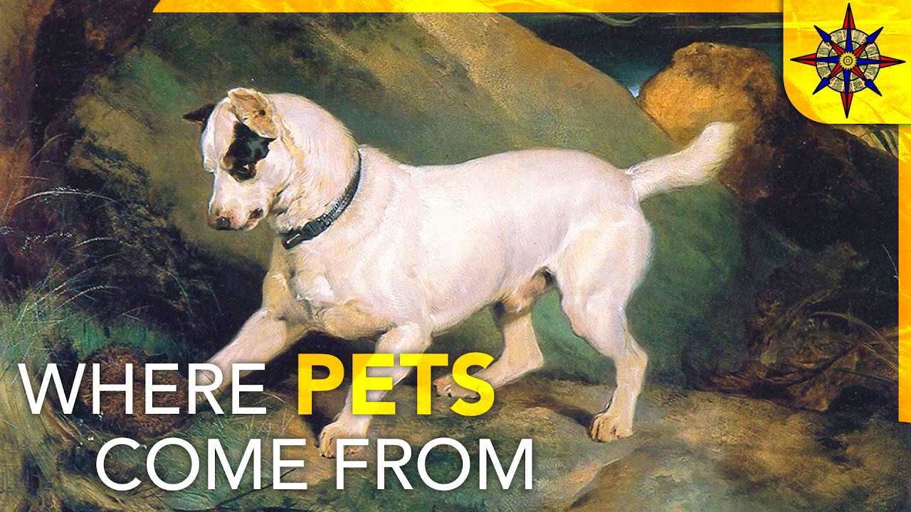 The Geography of Pets