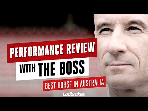 Performance Review With The Boss - Who Is The Best Horse In Australia?