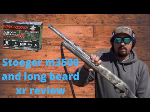 Stoeger m3500 predator/Turkey shotgun and Carlson longbeard xr choke review and pattern testing