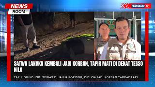 Tapir Sumatra Tewas Mengenaskan di Dekat Kawasan Konservasi