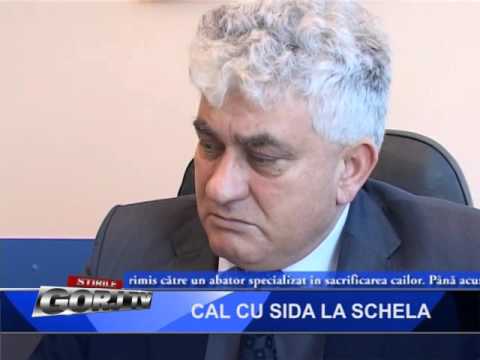 cal cu sida la schela