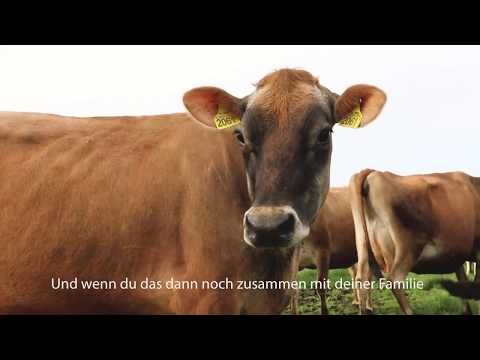 Biologische Bauernkäserei De Nylander