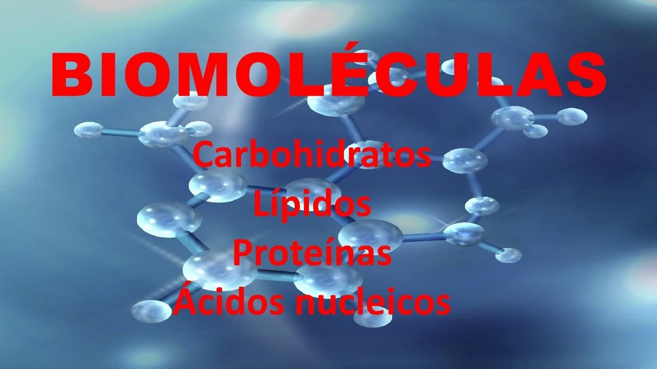 BIOMOLÉCULAS: Carbohidratos, lípidos, proteínas y ácidos nucleicos