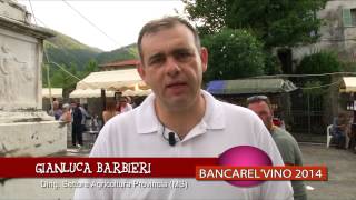 preview picture of video 'Bancarel'Vino 2014'