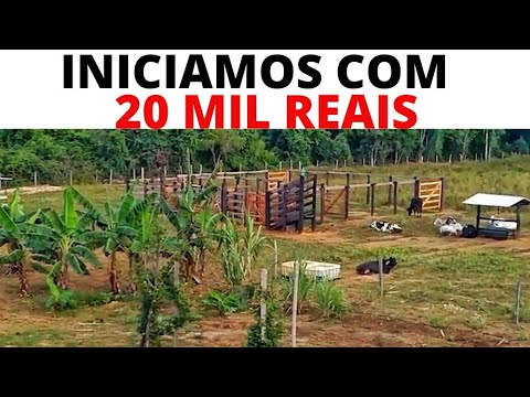 , title : 'VEJA como GASTAMOS 20 MIL reais para INICIAR UMA PROPRIEDADE rural'