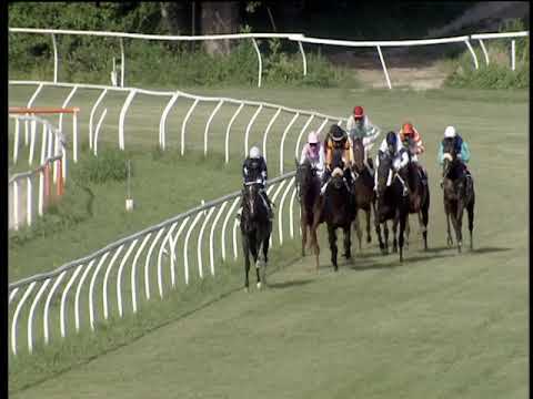 Galoppo 14/03/2019 - 4ª corsa