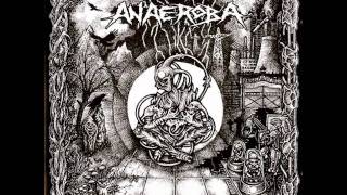 Anaeroba - Over The Walls And Borders -