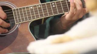 Cicadas and Gulls - Feist (Cover)